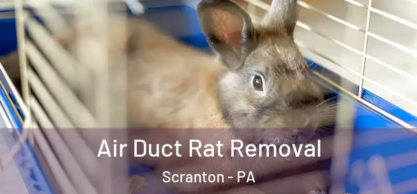  Air Duct Rat Removal Scranton - PA