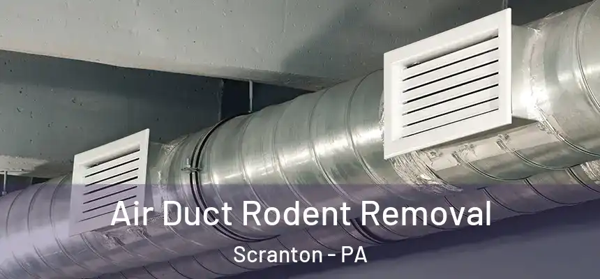  Air Duct Rodent Removal Scranton - PA