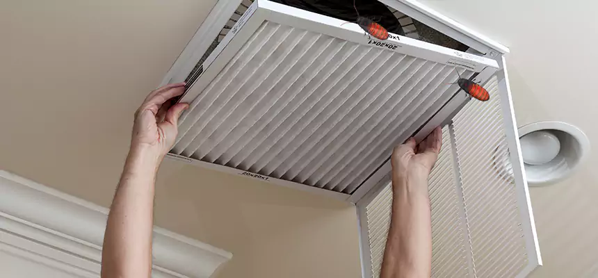 Preventive Cockroach-Proofing for Ducts in Scranton