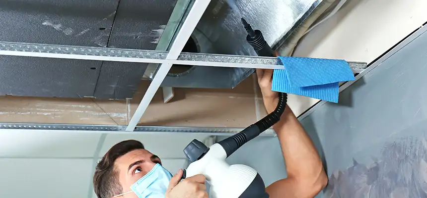 Our Air Duct Rodent Removal Services in Scranton, PA