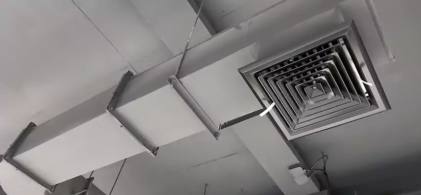 Our Pest Removal From Ducts Services in Scranton, PA