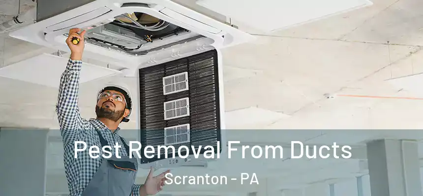  Pest Removal From Ducts Scranton - PA