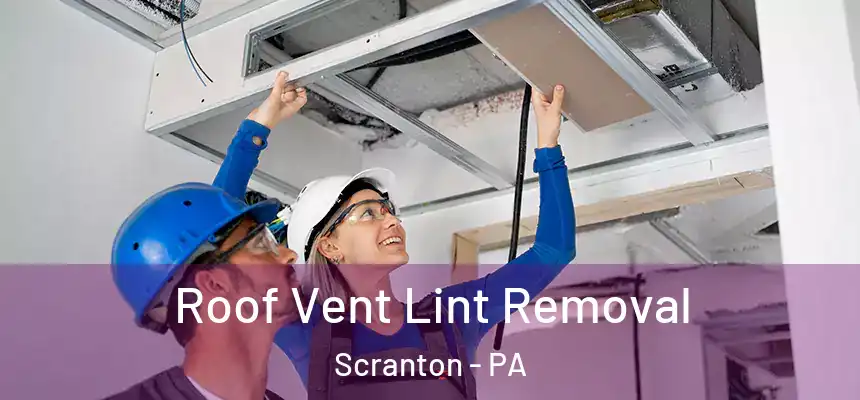 Roof Vent Lint Removal Scranton - PA