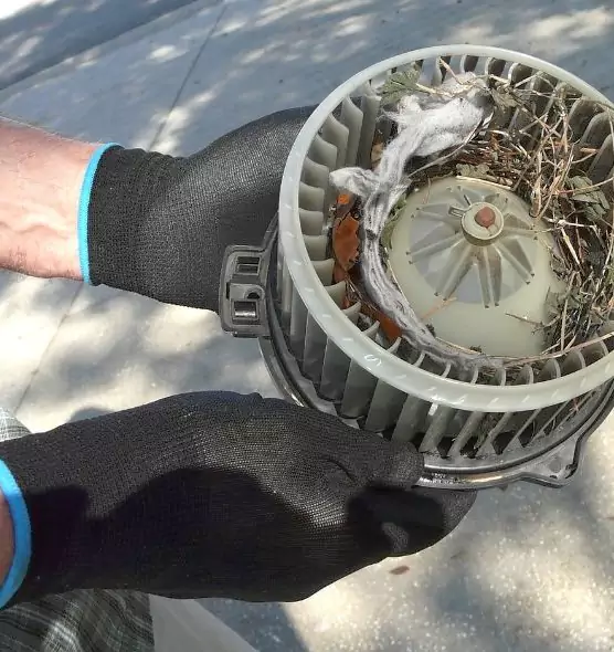 About Air Duct Rat Removal in Scranton, PA