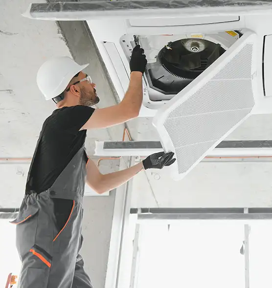 About Air Duct Rodent Removal in Scranton, PA