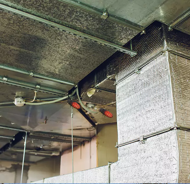 Why Homeowners & Businesses Trust Us in Scranton, PA?