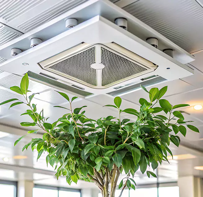 Why Homeowners & Businesses Trust Us in Scranton, PA?